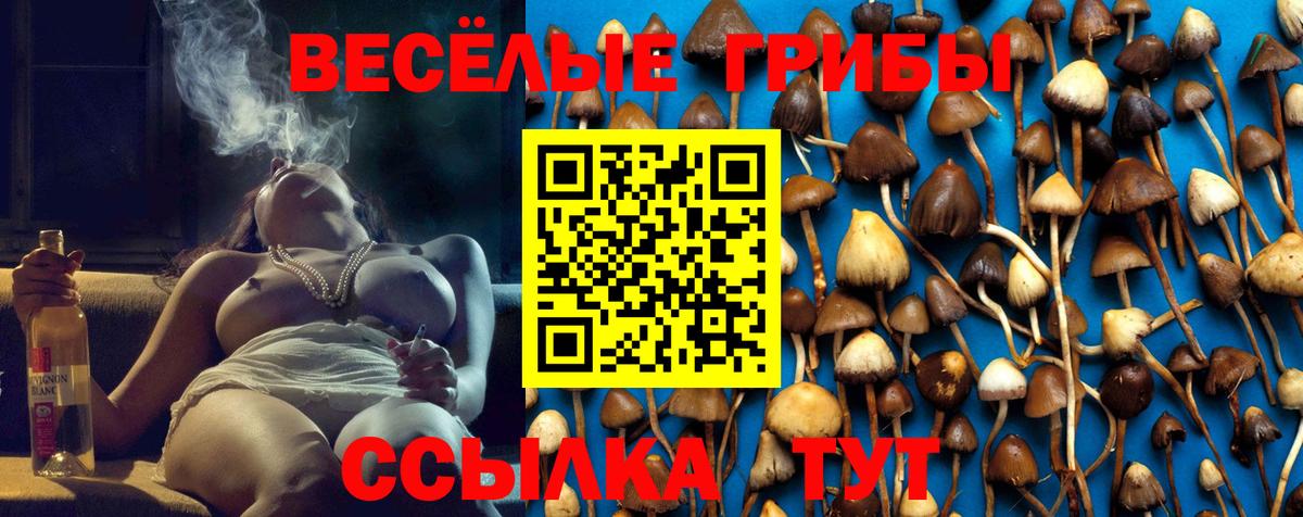 Псилоцибиновые грибы прущие грибы  Вход с VPN  Жуковский 